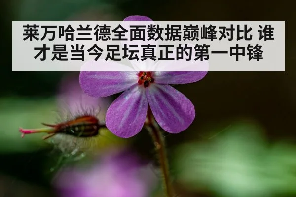 莱万哈兰德全面数据巅峰对比 谁才是当今足坛真正的第一中锋